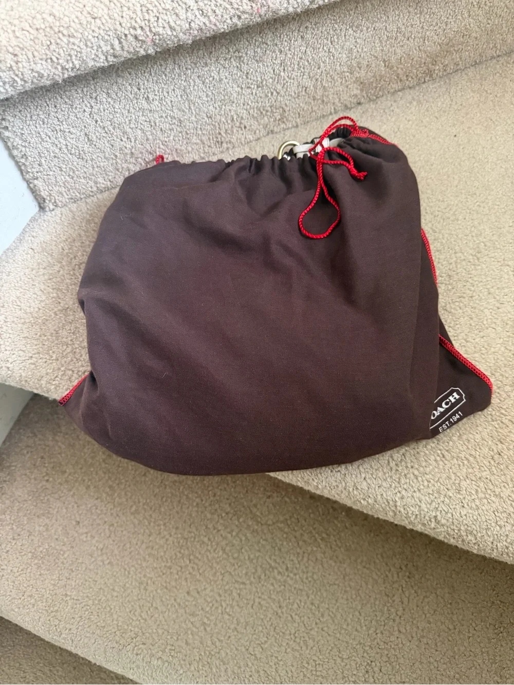 Coach hobo bag